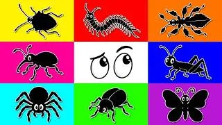 Thumbnail: Insect: Centipede, Weevil, Stink Bug, Leaf Insect, Spider, Grasshopper, Butterfly, Leopard Gecko...