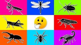 Thumbnail: Insect: Dumbo rat, Hercules Beetle, Orb Spider, Dragonfly, Grasshopper, Scorpion, Cockroach, Mantis