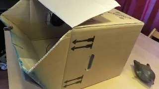 Thumbnail: The "Paint and Paper Mache Dyer" Box