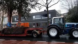 Thumbnail: Wandelende boom in Nijverdal