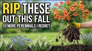 Thumbnail: Don't Make My Mistake: 10 MORE Perennials I Regret Planting (Rip Them Out This Fall)