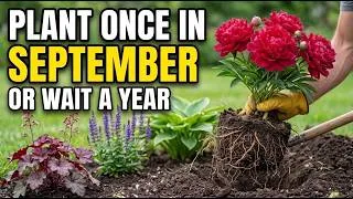 Thumbnail: 11 Perennials You'll REGRET Not Planting in September (Last Chance Before Frost)