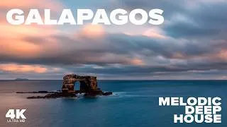 Thumbnail: Galapagos Islands Ocean Therapy 4K | Lost Darwin Arch  + Underwater Wildlife | Melodic Deep House