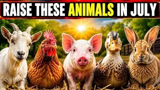 Thumbnail: Raise These 5 Animals in July Asap