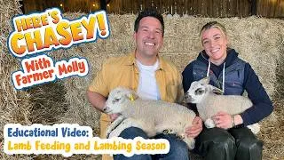Thumbnail: Lamb Feeding and Lambing Season! - Here's Chasey