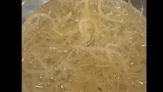 Thumbnail: How to make Sea Moss Gel