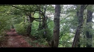 Thumbnail: Poetic Walks in Konstanz, Germany - Oberhalb Ruppaner Brauerei   Francesca Benetti plays Kapsberger