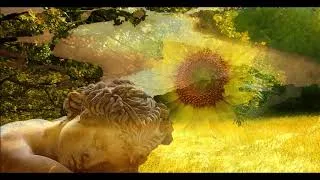 Thumbnail: Poetic Moments in Konstanz - Sunflower Kiss -Sonnenblumenkuss   Polibek slunečnice-  Kabsberger Lute