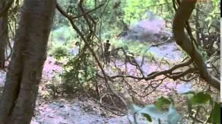 Thumbnail: Do pyar karne wale jungle mein