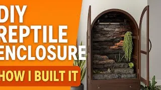 Thumbnail: I Built a STUNNING DIY Reptile Enclosure Inside a Cabinet | Step-by-Step Tutorial