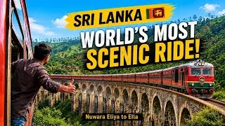 Thumbnail: WORLD'S Most SCENIC Train Ride in Sri Lanka 🇱🇰 for Just ₹50! 🚂