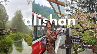 Thumbnail: one rainy day in alishan 🚂🌧️ | taiwan travel diaries