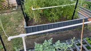 Thumbnail: Gardening Tips /Benefits of a Worm Farm