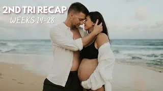 Thumbnail: Second Trimester Recap | Weight Gain Chat, Symptoms, Must Haves, & Bump Shot!