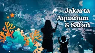 Thumbnail: Adventure in Jakarta Aquarium & Safari | Marine Life Relaxing Cinematic Video