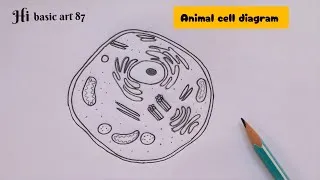 Thumbnail: How to draw animal cell drawing easy step by step / human cell diagram easily