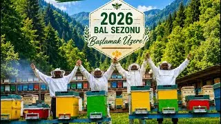 Thumbnail: 🐝 Kokolet’te Bal Sağımı Başlıyor! 🍯 | Artvin Murgul Kafkas Arısı ve Doğal Bal