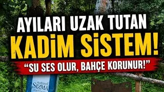 Thumbnail:     Sadece Su ve Ahşap! Artvin Köylülerinin Ayılara Karşı İlginç Çözümü