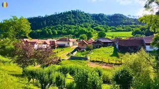 Thumbnail: Transylvania's Most German Village? 4K Walk in Mălâncrav, Romania