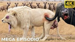 Thumbnail: WHITE LION KING | Africa's Rarest King Faces an Epic Battle | WILDLIFE DOCUMENTARY