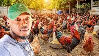 Thumbnail: Yon jèn gason ki bati richès li nan poul.