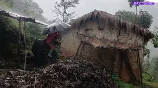 Thumbnail: Himalayan village | During the Heavy  Rainy season Daily activities peaceful in village lifestyle 