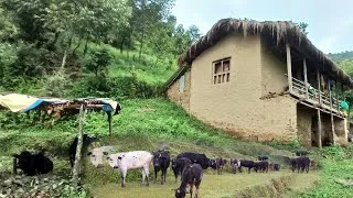 Thumbnail: The daily life of the poor in Nepal's villages | Beautiful Babaran
