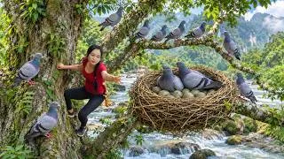 Thumbnail: 668 Days Harvesting A Lot Of Wild Pigeons, Eggs, Ducks, Chicken, Go to Sell at Village Market
