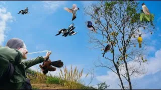 Thumbnail: “Slingshot for Hunting Forest Birds”