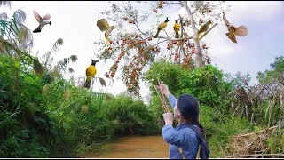 Thumbnail: Slingshot for bird hunting - Encounter with mutant birds
