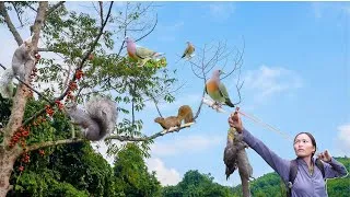 Thumbnail: “Slingshot vs Squirrel, Green Dove… and the Unexpected Ending!”#slingshot #forestadventure