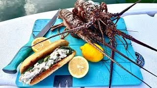 Thumbnail: 2 Days Spiny Lobster Diving! Catch n' Cook FRESH Lobster Rolls!