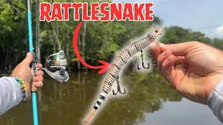 Thumbnail: 2 Days Eating Only What Catch On A Snake Lure!!
