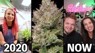 Thumbnail: Stay Highigan