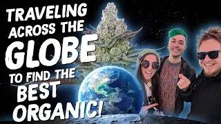 Thumbnail: Traveling Around The WORLD To Find The BEST ORGANIC & GENETICS!