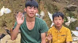 Thumbnail: How to catch fish with a net to sell, Highland boy Khai and Hiep send greetings to all of you.