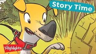 Thumbnail: Lights, Camera... Chewy?!  |  Story Time with Highlights