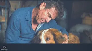 Thumbnail: Chris Stapleton - Maggies Song ft. A Dog's Journey Movie (Unofficial Video)