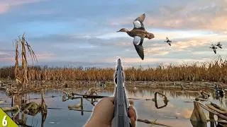 Thumbnail: 12 MINUTE Duck LIMIT in FLOODED CORN! | Solo Duck Hunting