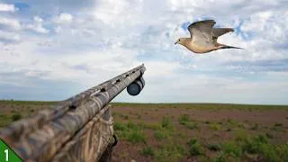 Thumbnail: DOVES Were EVERYWHERE! (Limited Out) | OPENING MORNING Dove Hunt
