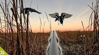 Thumbnail: Ducks DECOYED On Top of Me! | Duck Hunting a Cattail Hole