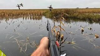 Thumbnail: OPENING Weekend Hunt in FLOODED CORN | Duck Hunting