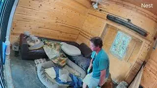 Thumbnail: Three turkeys walk into St Bernard’s house, what happens next?