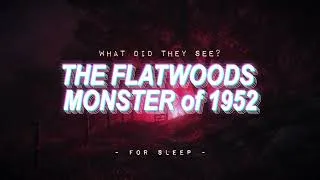 Thumbnail: The Flatwoods Monster of 1952 | For Sleep