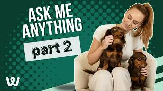 Thumbnail: Answering Your Questions on Travel, Workouts, Postpartum Fitness & Skincare | Ask Me Anything Part 2