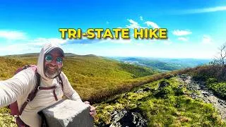 Thumbnail: Alander and Brace Mountains Loop, Big hike in the southern Berkshires including Tri-State Monument