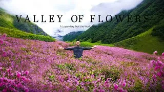 Thumbnail: Valley of Flowers | 50km of Hiking Through a Floral Wonderland of Uttarakhand |