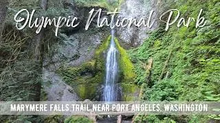 Thumbnail: Hiking WASHINGTON : Marymere Falls Trail | Olympic National Park | 4K