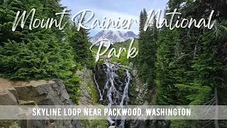 Thumbnail: Hiking WASHINGTON : Skyline Loop | Mount Rainier National Park | 4K