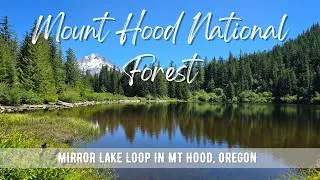 Thumbnail: Hiking OREGON : Mirror Lake Loop | Mount Hood National Forest | 4K